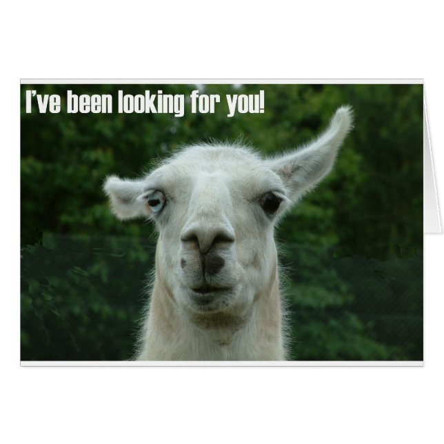 Cartão lama (Frente Horizontal)