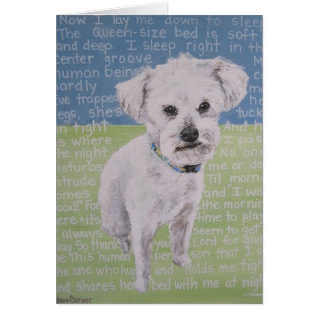 Cartão Lambchop (Frente)