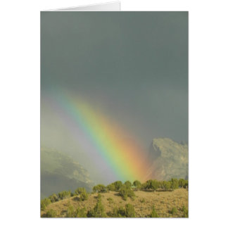 Cartão Lamoille Canyon Rainbow