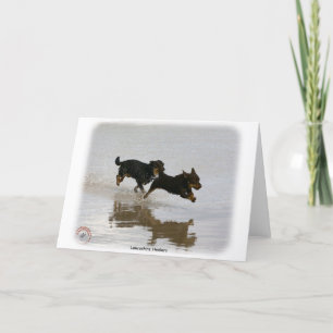 Cartão Lancashire Heeler 9R056D-182