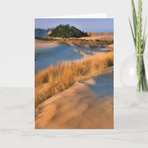 Cartão Landscape Of Oregon Sand Dunes