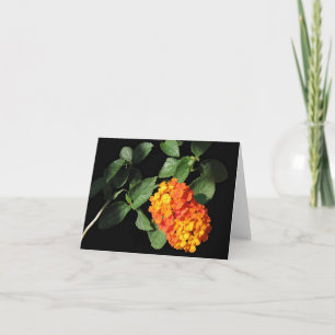 Cartão Lantana Note Card