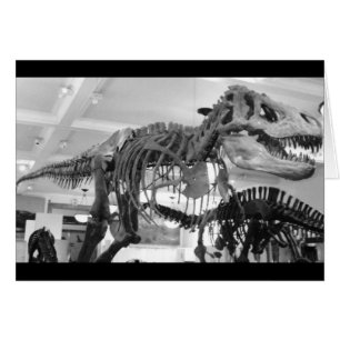 Cartão Lápis de Esqueleto T-Rex
