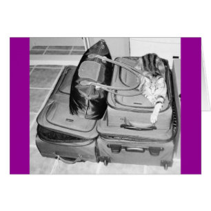 Cartão Lápis Indígo Viajante