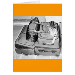 Cartão Lápis Indígo Viajante