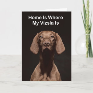 Cartão Lar é Onde Está Meu Vizsla