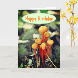 Cartão Laranja Cogumelos Natureza Aniversário