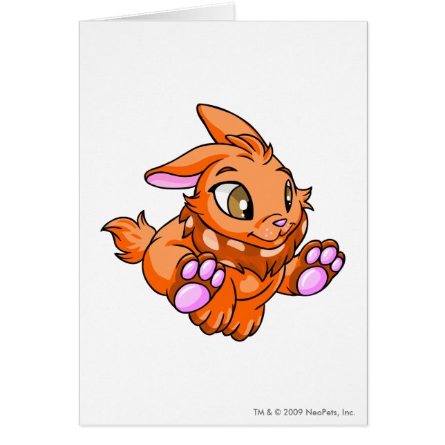 Cartão Laranja de Cybunny (Frente)