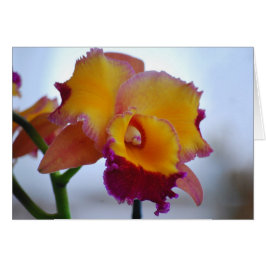 Cartão Laranja e Violet Cattleya Orchid