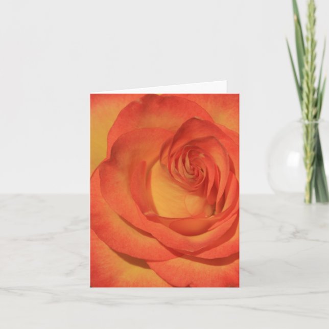 Cartão Laranja Notecard cor-de-rosa (Frente)