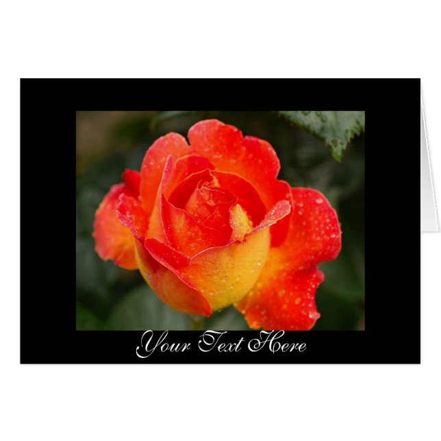 Cartão Laranja Rosa Floral (Frente horizontal)