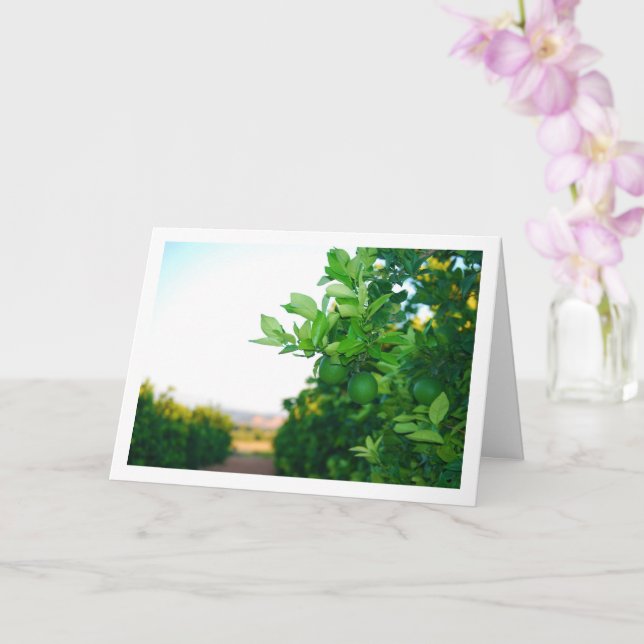 Cartão Laranjas verdes na árvore (Orquídea)