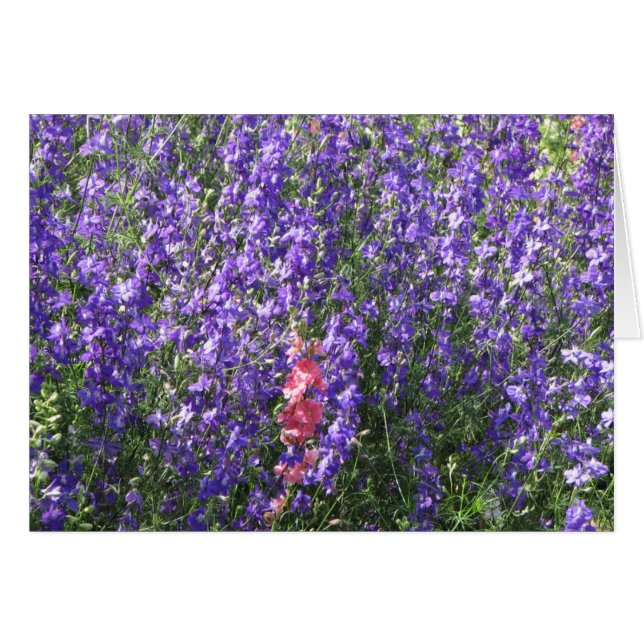 Cartão Larkspur (Frente Horizontal)