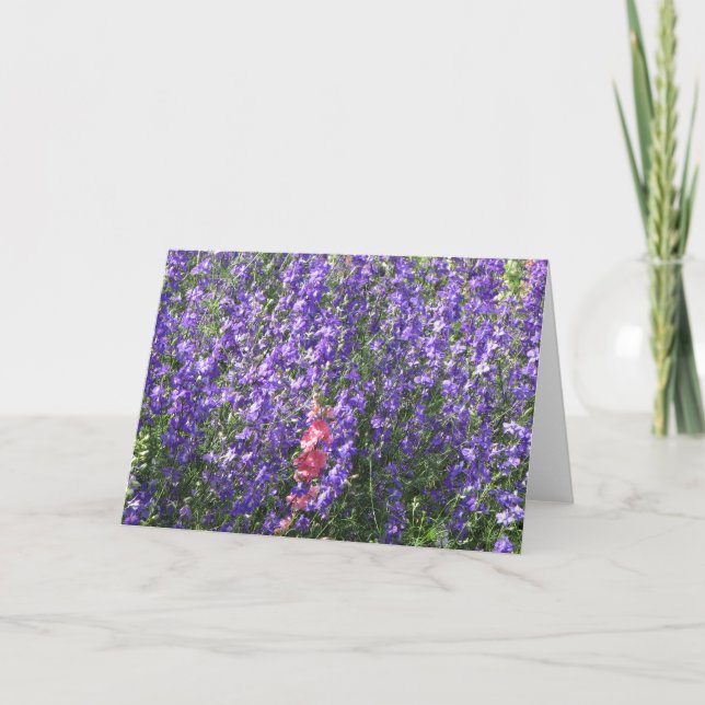 Cartão Larkspurs (Frente)