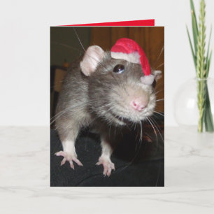 Cartão Laughing Christmas Rat Greeting Card