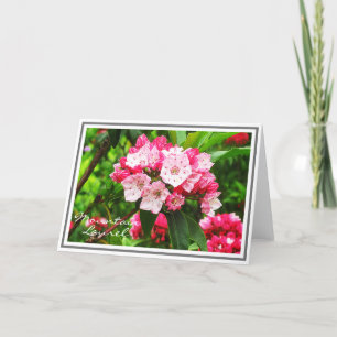 Cartão Laurel Pink and White Mountain