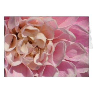 Cartão Laurie's Dahlia