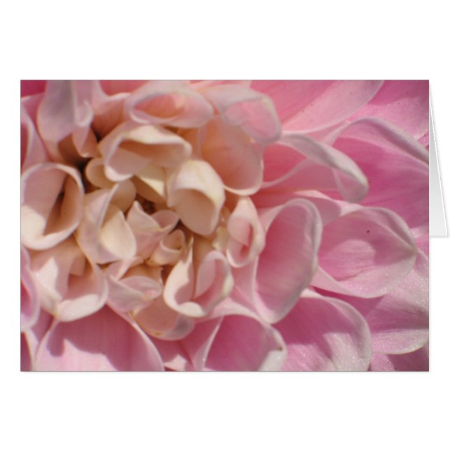 Cartão Laurie's Dahlia (Frente Horizontal)