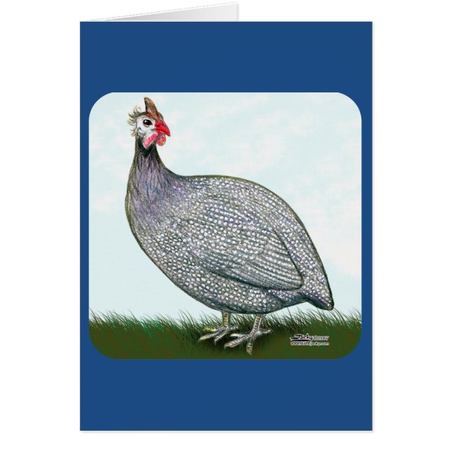 Cartão Lavanda Da Guiné Em Vigor (Frente)