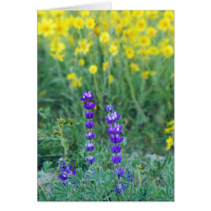 Cartão Lavanda e girassol amarelo