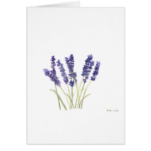 Cartão Lavandas flores lavanda francesa