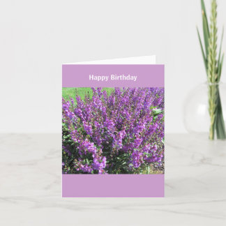 Cartão Lavendar floresce desejos do aniversário