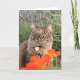 Cartão Lavendar, Nasturtium, and a Tortoiseshell Cat