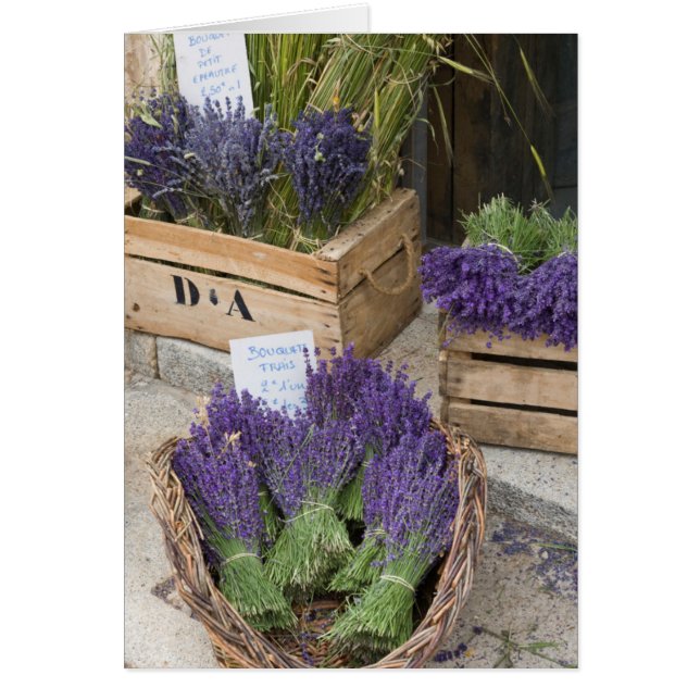 Cartão Lavendar para venda, Provence, França (Frente)