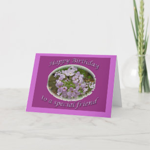 Cartão Lavendar Phlox Birthday Friend Card