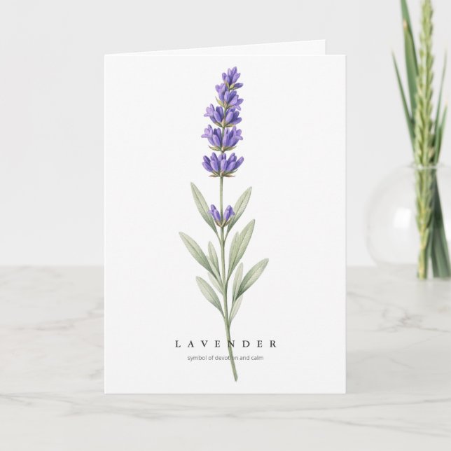 Cartão Lavender Botanical Art Symbol of Devotion and Calm (Frente)