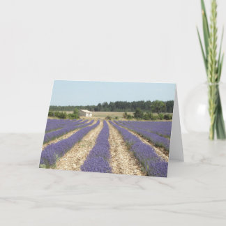 Cartão Lavender Field in Provence
