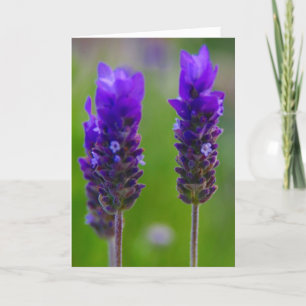 Cartão lavender mom love
