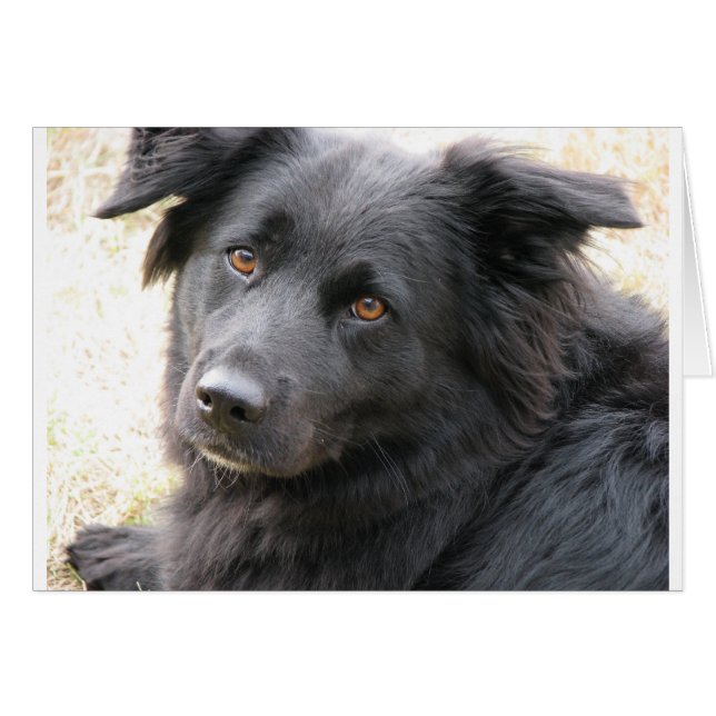 Cartão Layla (Frente horizontal)