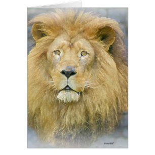 Cartão leão