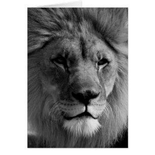 Cartão Leão preto e branco