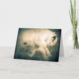 Cartão Leap For Joy