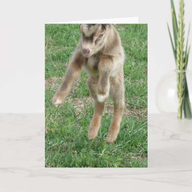 Cartão Leap For Joy (Frente)