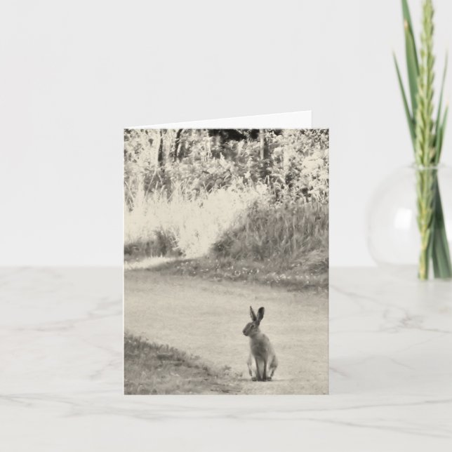 Cartão Lebre hoje (Frente)