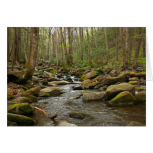 Cartão LeConte Creek nas Montanhas do Enfumaçado do Exce