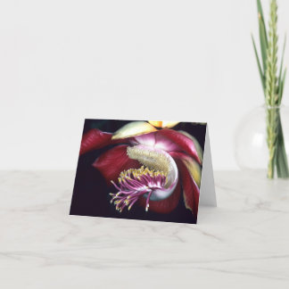 Cartão LECYTHIDACEAE: Couroupita guianensis