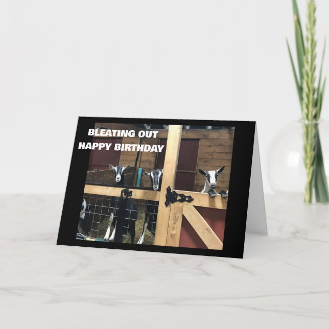 Cartão LEGAL CAÇOS ABERTOS "aniversário de 40 anos FELIZ" (Frente)