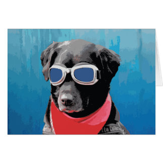Cartão Legal Cão Preto Lab Vermelho Bandana Óculos Azuis