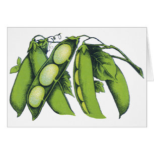 Cartão Legumes Antigos; Feijão Lima, Alimentos Orgânicos 