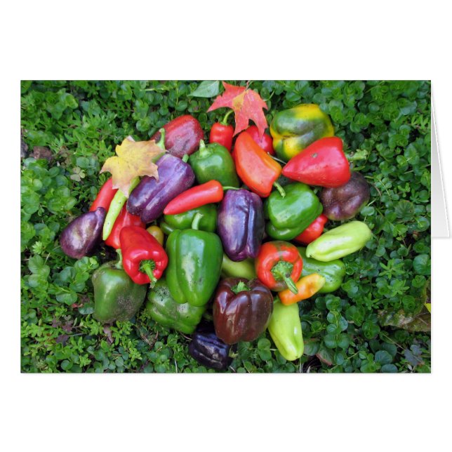 Cartão Legumes Coloridos e Folhas de Mapeamento (Frente Horizontal)