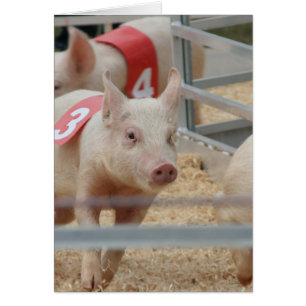 Cartão Leitão cor-de-rosa-porco número três