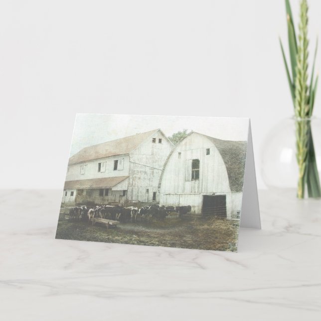 Cartão Leite de Amish (Frente)