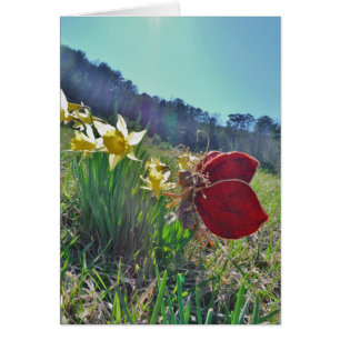 Cartão Leite e flores amarelas