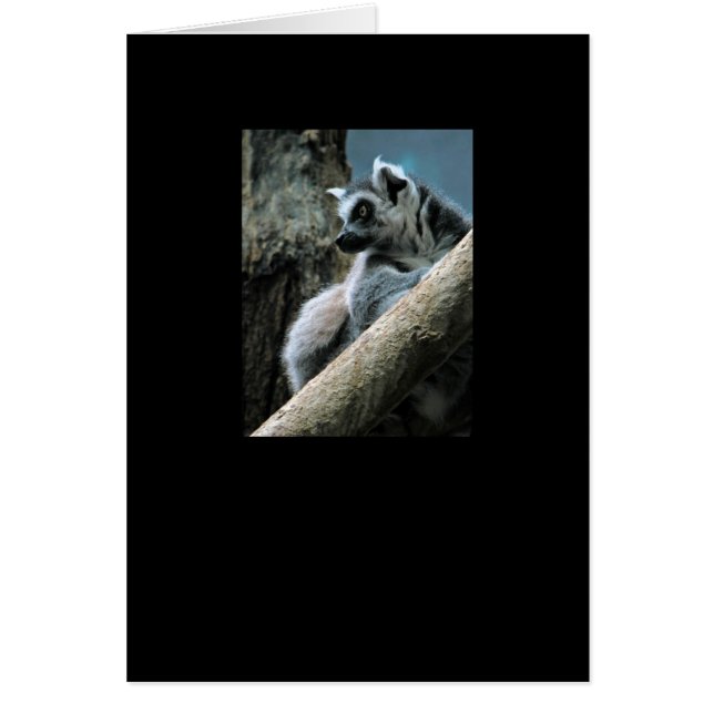 Cartão Lemur (Frente)