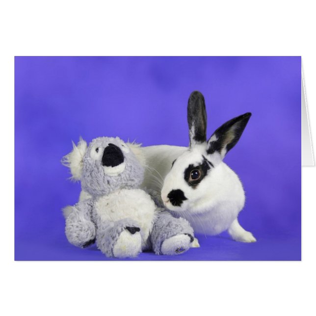 Cartão Lenox (Frente Horizontal)