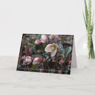 Cartão Lenten Rosa Para Mãe